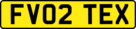 FV02TEX