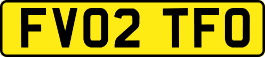 FV02TFO