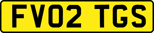FV02TGS