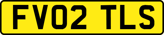 FV02TLS