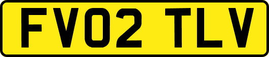 FV02TLV