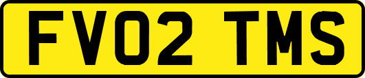 FV02TMS