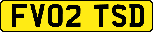 FV02TSD