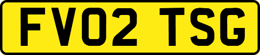 FV02TSG