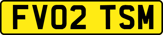 FV02TSM