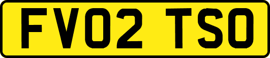 FV02TSO