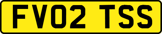 FV02TSS