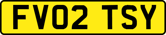 FV02TSY