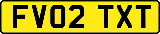 FV02TXT