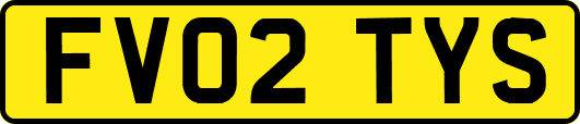 FV02TYS