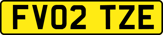 FV02TZE