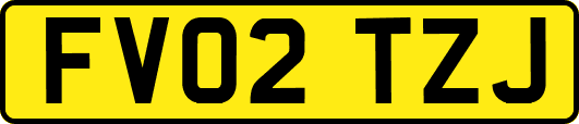 FV02TZJ