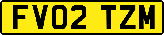 FV02TZM