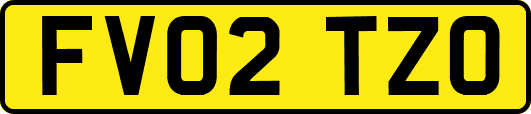FV02TZO