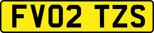 FV02TZS