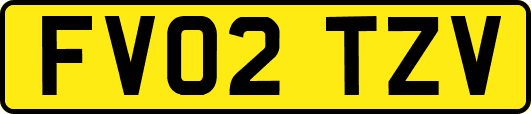 FV02TZV