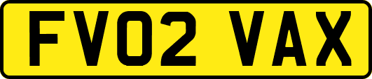 FV02VAX