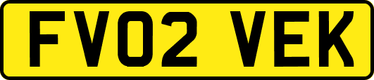 FV02VEK
