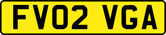 FV02VGA