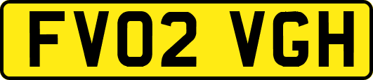 FV02VGH