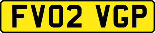 FV02VGP