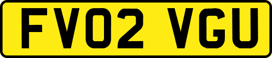 FV02VGU