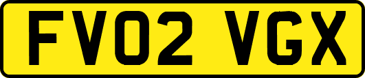 FV02VGX