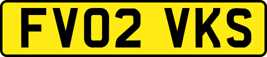 FV02VKS