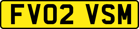 FV02VSM