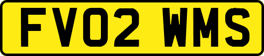 FV02WMS