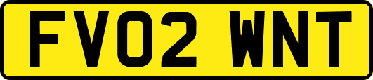FV02WNT