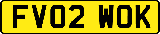 FV02WOK