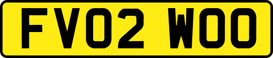 FV02WOO