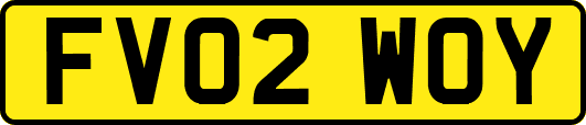 FV02WOY