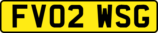 FV02WSG