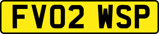 FV02WSP