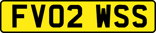 FV02WSS