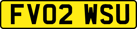 FV02WSU