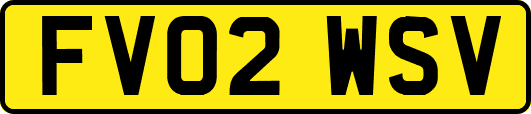 FV02WSV