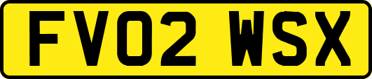 FV02WSX