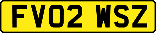FV02WSZ