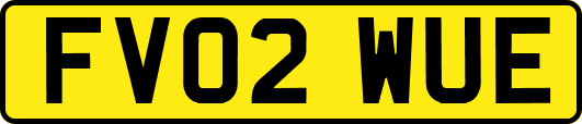 FV02WUE