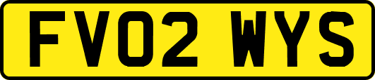 FV02WYS