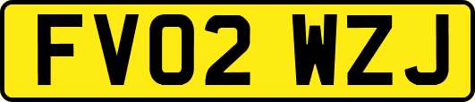 FV02WZJ