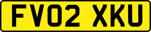 FV02XKU