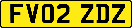 FV02ZDZ