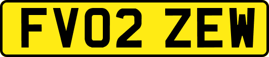 FV02ZEW