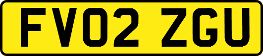 FV02ZGU