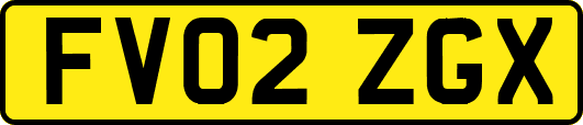 FV02ZGX