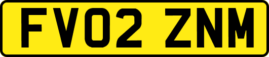 FV02ZNM
